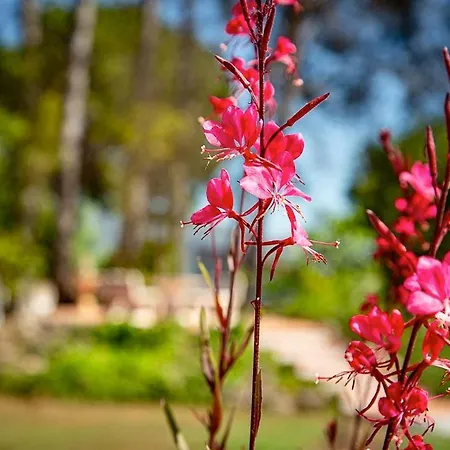 Bed & Breakfast Finca Sonada - Nudist