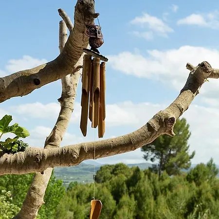 Bed & Breakfast Finca Sonada - Nudist *