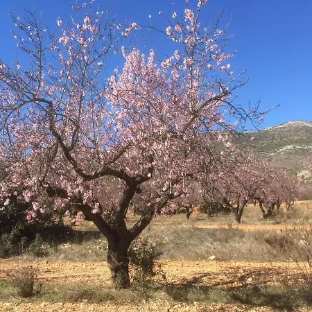 Bed & Breakfast Finca Sonada - Nudist Gayanes  (A Coruna)